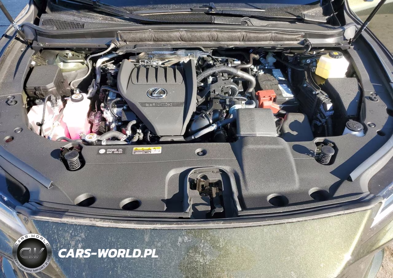 2024 Lexus Rx 350 Premium+ VIN:2T2BAMCA3RC087148 - 12