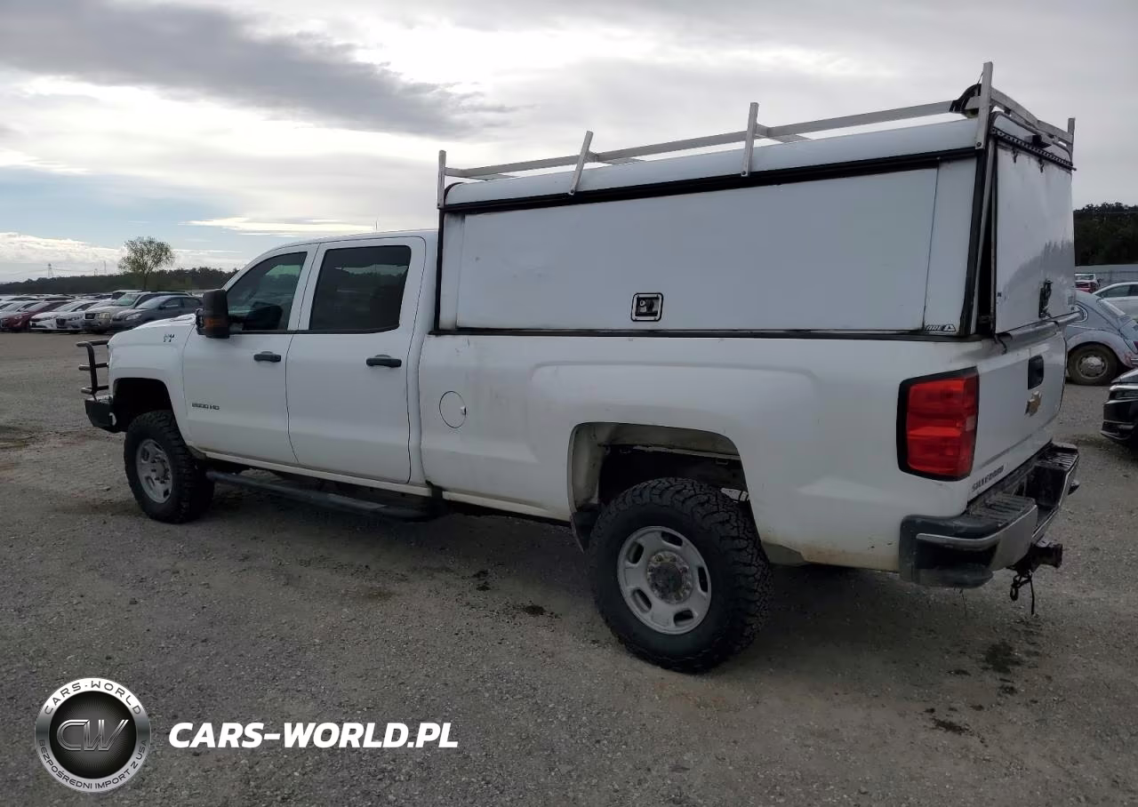 2019 Chevrolet Silverado K2500 Heavy Duty VIN:1GC1KREY2KF259994 - 2