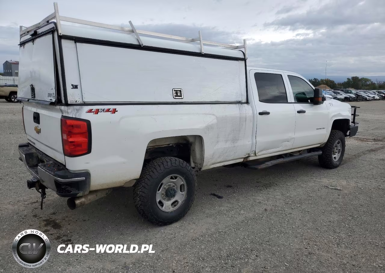 2019 Chevrolet Silverado K2500 Heavy Duty VIN:1GC1KREY2KF259994 - 3