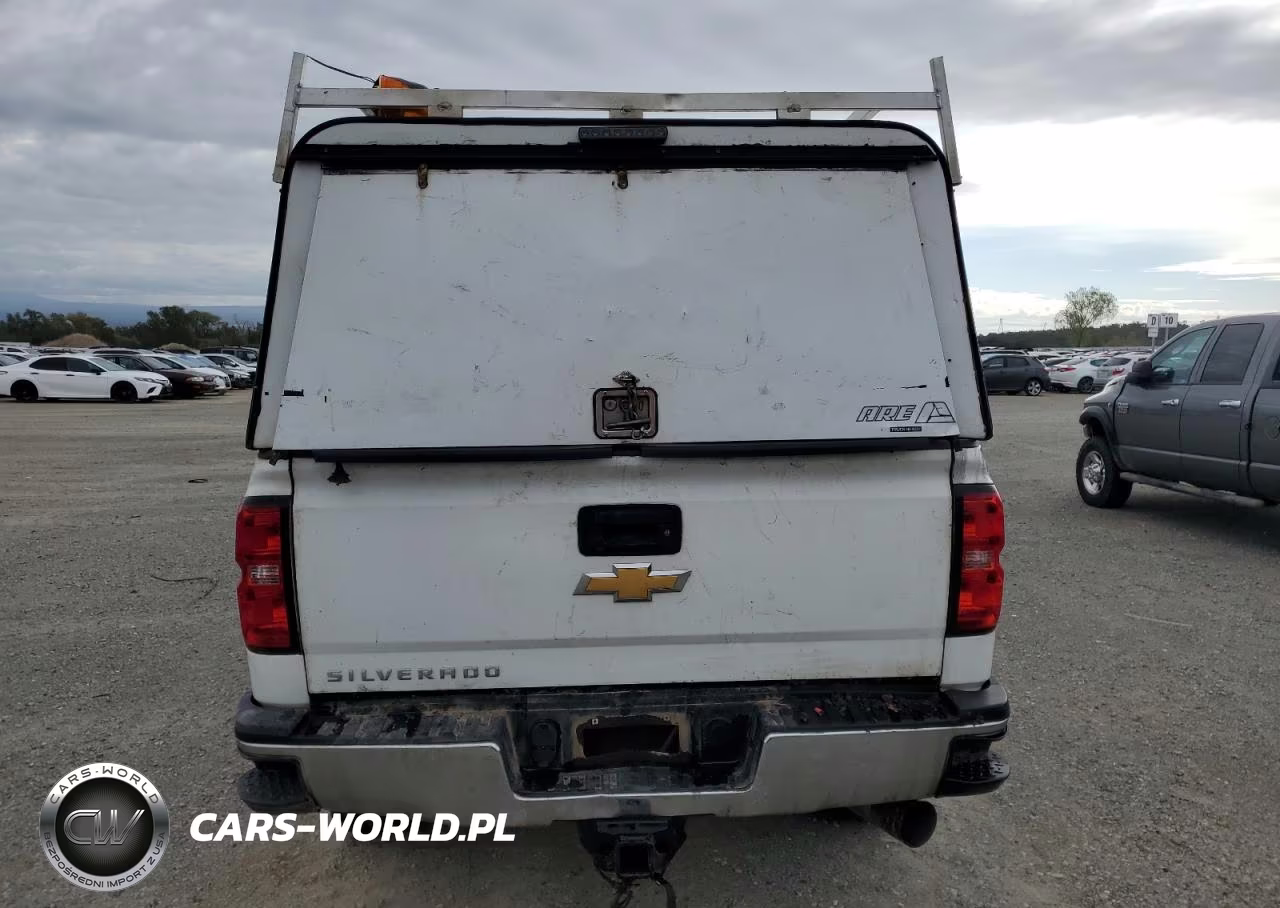 2019 Chevrolet Silverado K2500 Heavy Duty VIN:1GC1KREY2KF259994 - 6