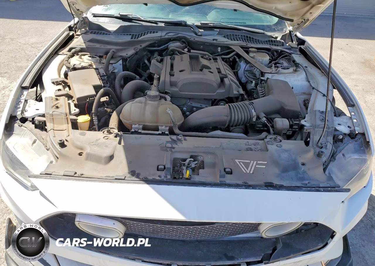 2019 Ford Mustang VIN:1FATP8UH5K5151421 - 11