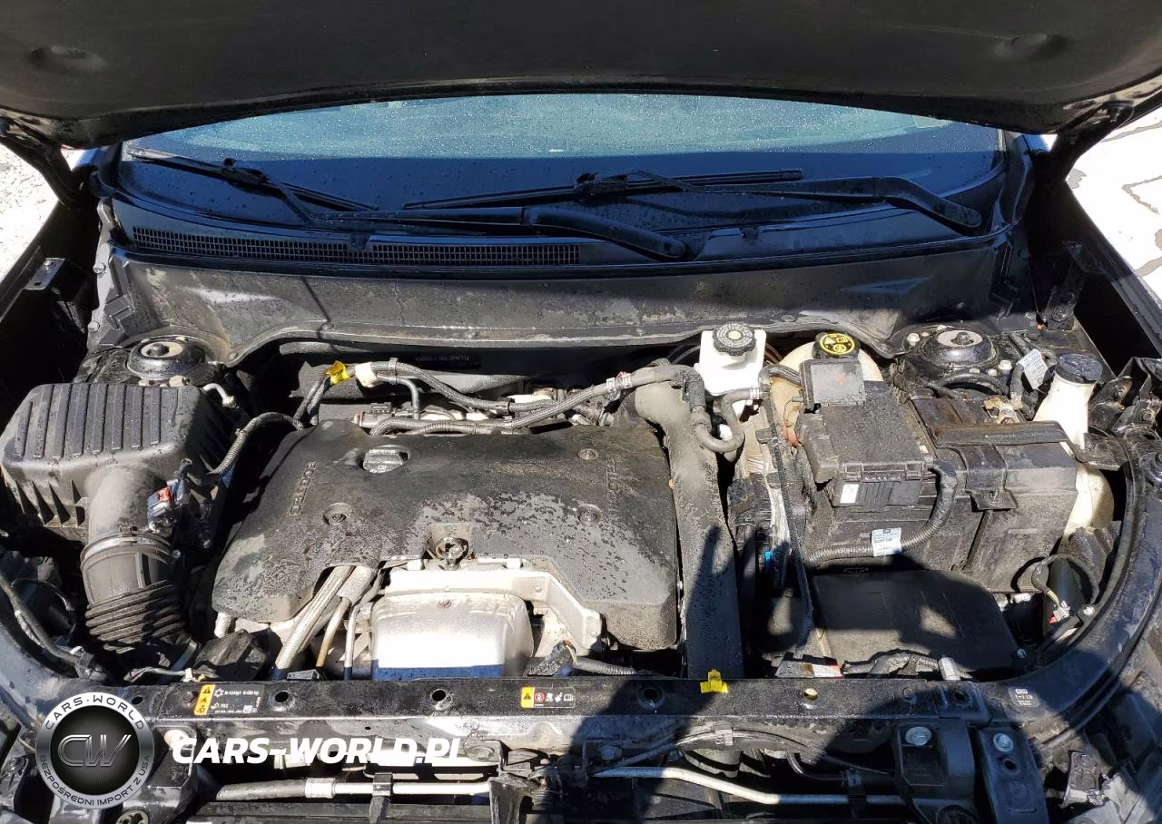 2019 Chevrolet Equinox Lt VIN:3GNAXLEX8KL249411 - 12