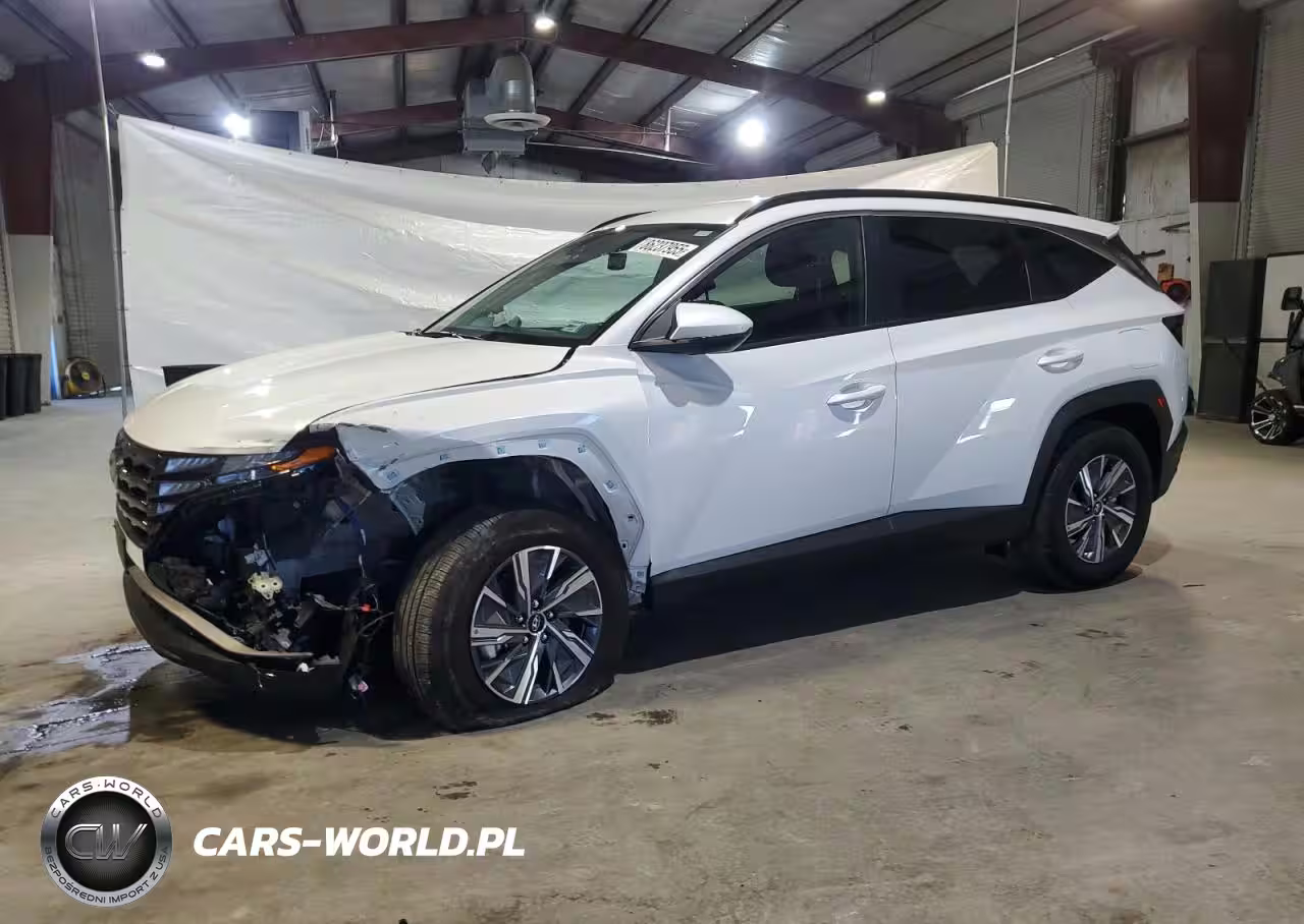 2024 Hyundai Tucson Blue