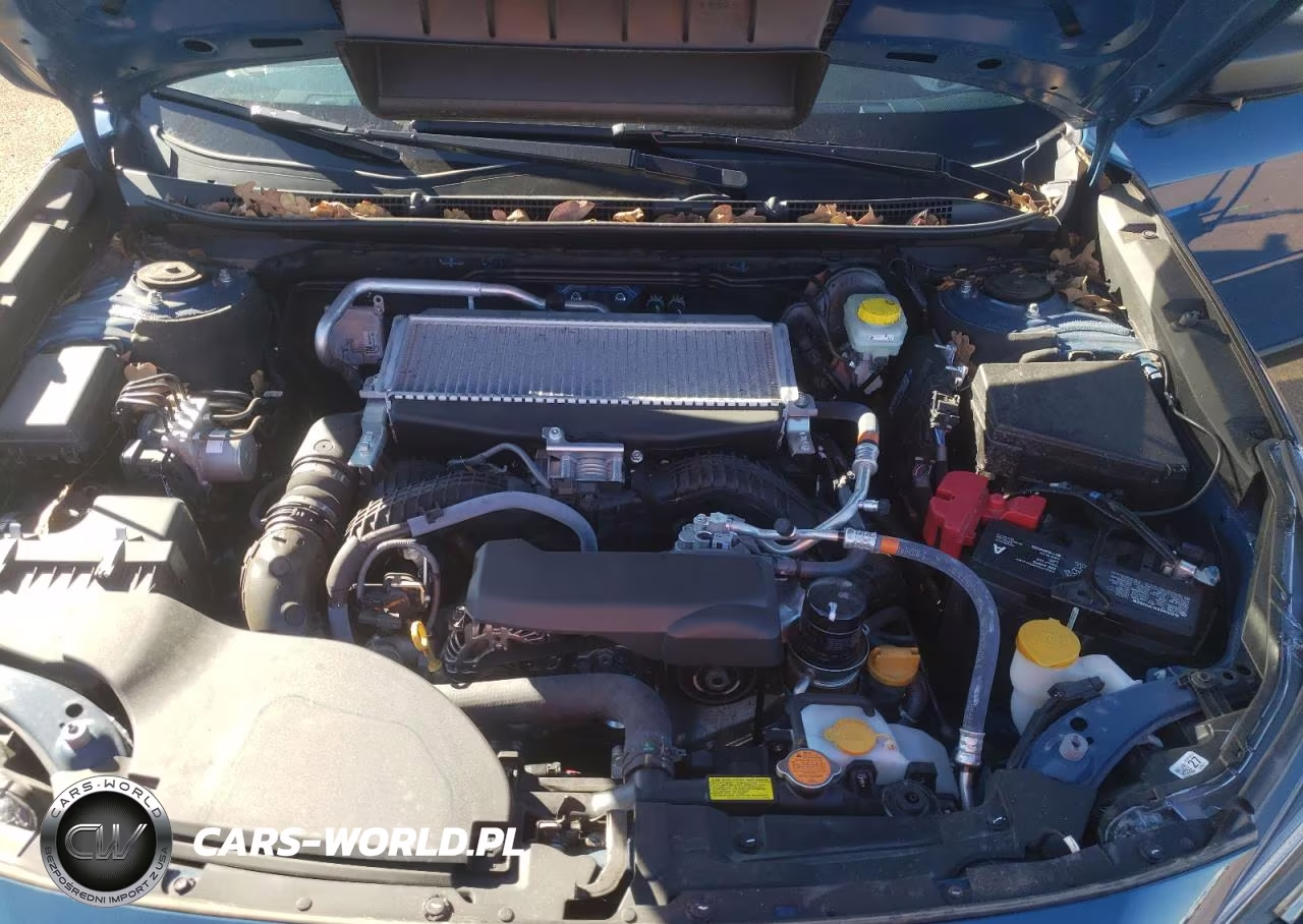 2024 Subaru Outback Wilderness VIN:4S4BTGUD9R3203269 - 12