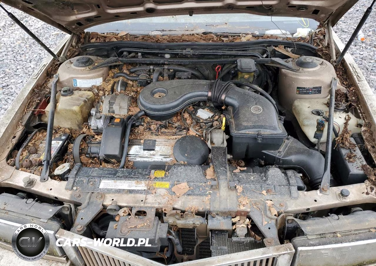 1989 Cadillac Eldorado VIN:1G6EL1156KU610304 - 11