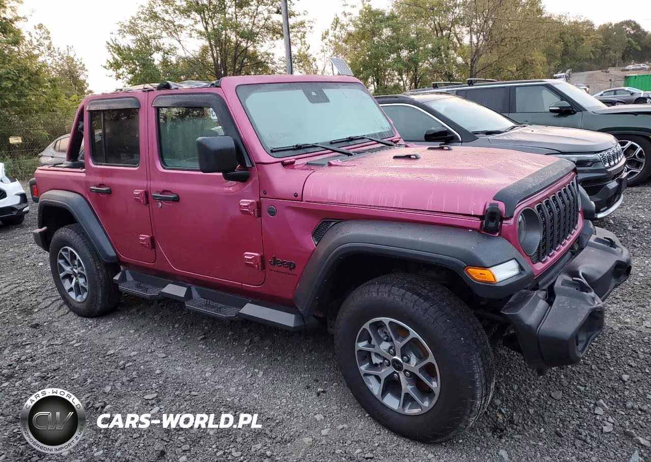 2024 Jeep Wrangler Sport VIN:1C4PJXDG4RW338863 - 4