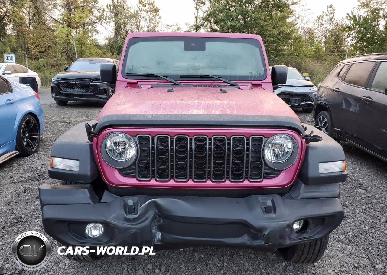 2024 Jeep Wrangler Sport VIN:1C4PJXDG4RW338863 - 5