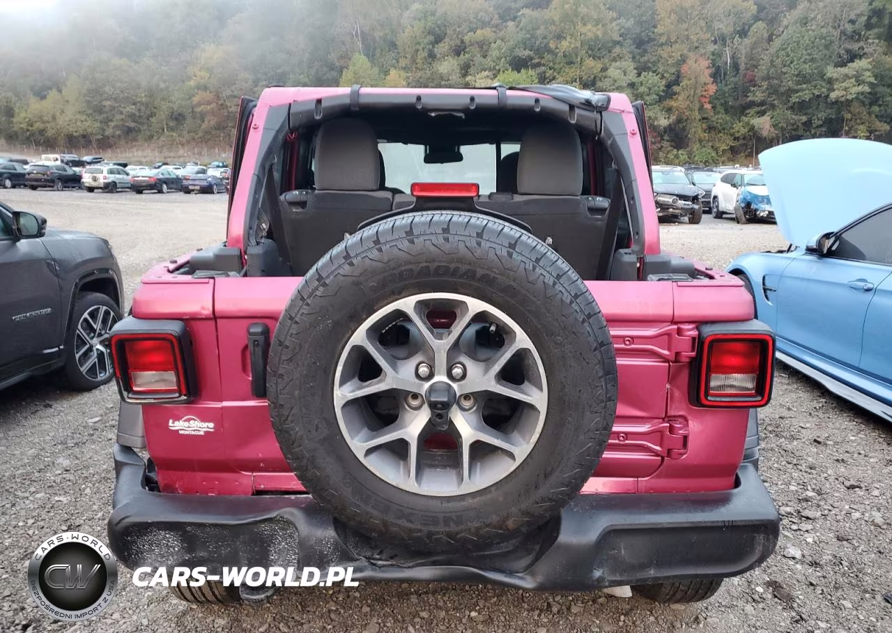 2024 Jeep Wrangler Sport VIN:1C4PJXDG4RW338863 - 6