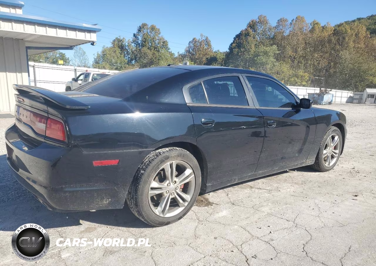 2013 Dodge Charger Sxt VIN:2C3CDXJG1DH611876 - 3