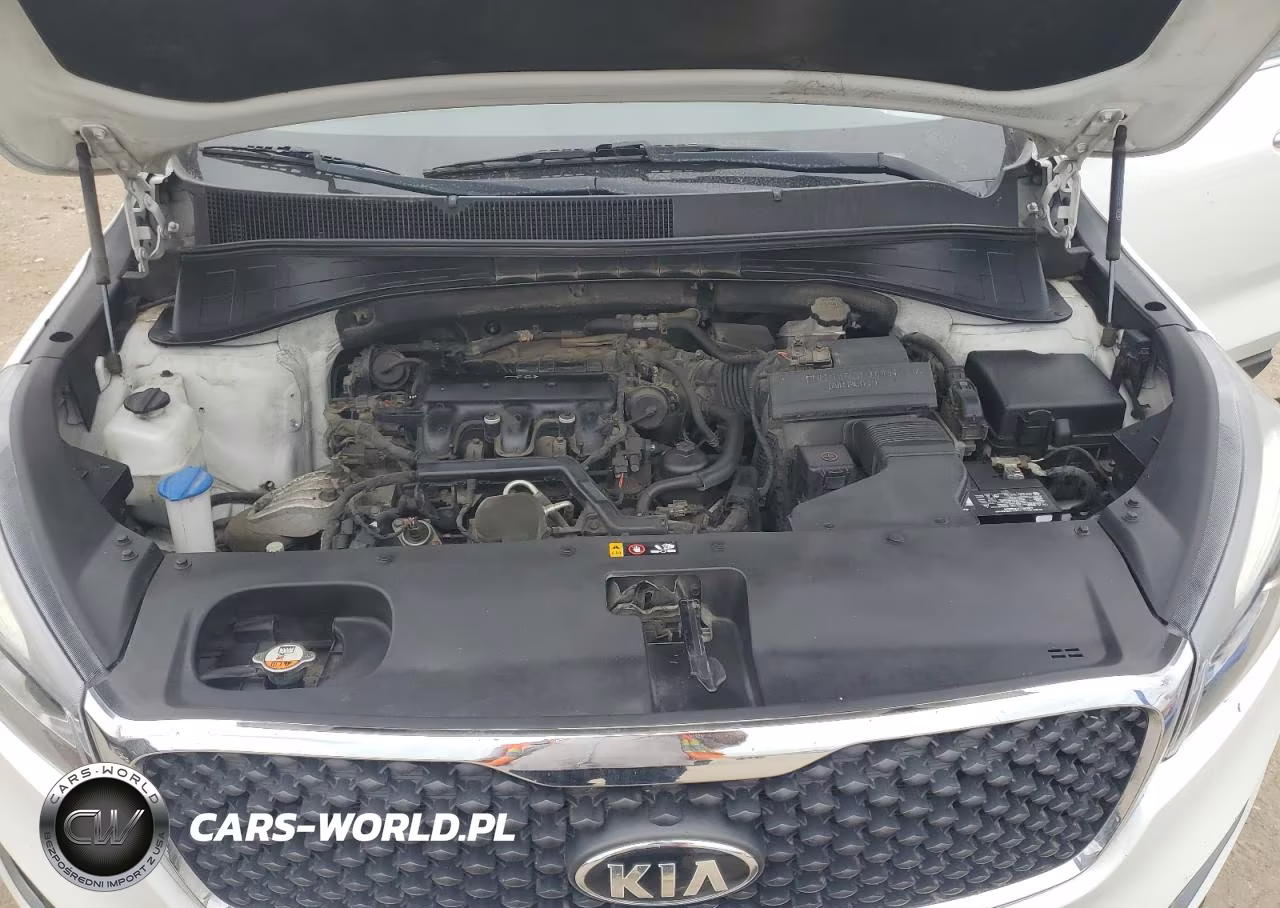 2017 Kia Sorento Lx V6 VIN:5XYPGDA5XHG209599 - 12