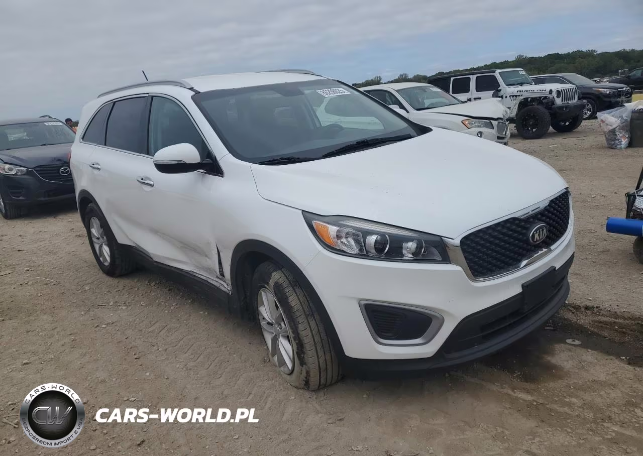 2017 Kia Sorento Lx V6 VIN:5XYPGDA5XHG209599 - 4