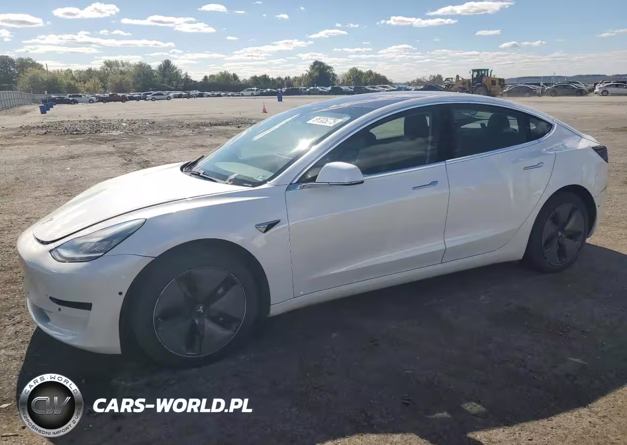 TESLA
