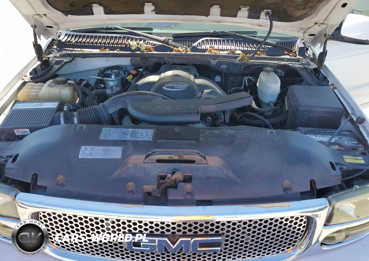 2003 GMC Yukon Denali VIN:1GKEK63U93J257033 - 12
