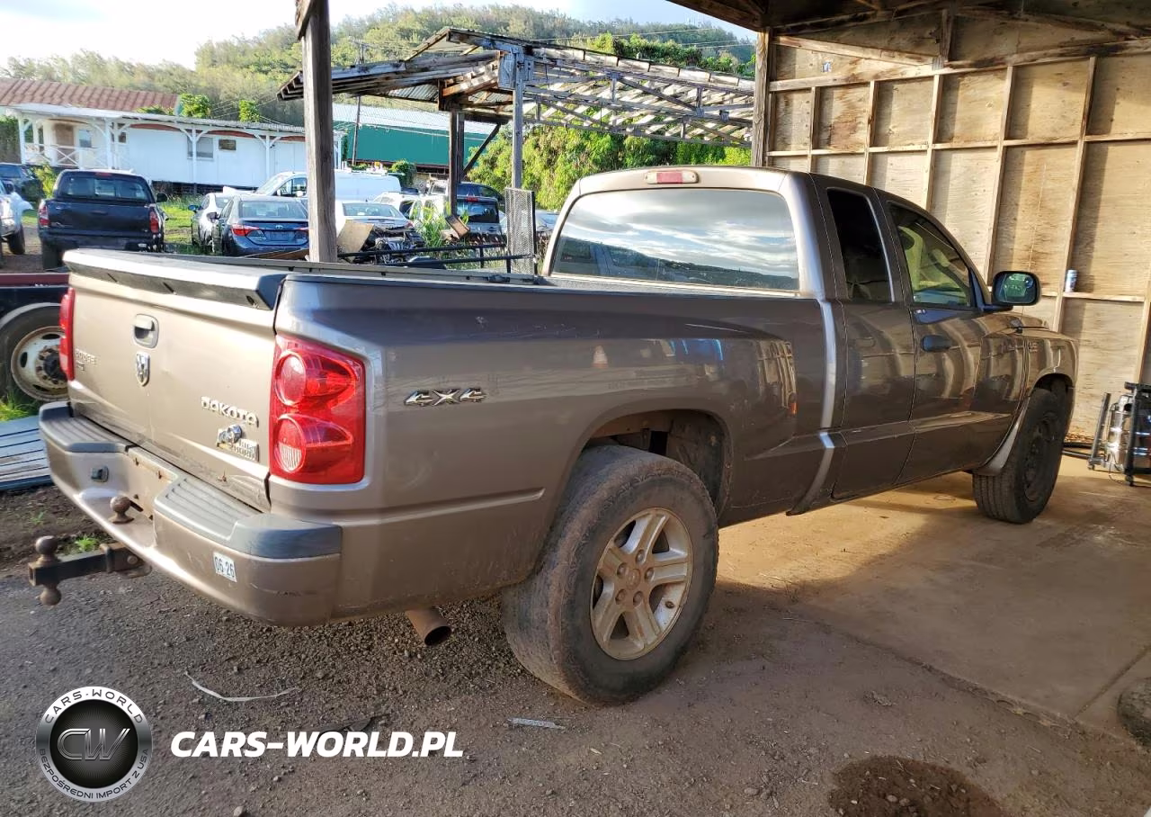 2010 Dodge Dakota Sxt VIN:1D7CW3BP4AS131791 - 3