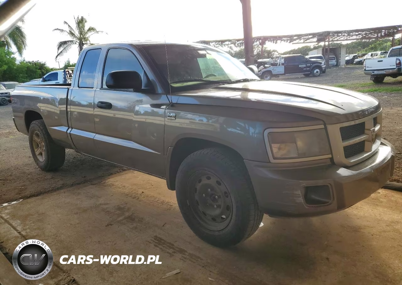2010 Dodge Dakota Sxt VIN:1D7CW3BP4AS131791 - 4