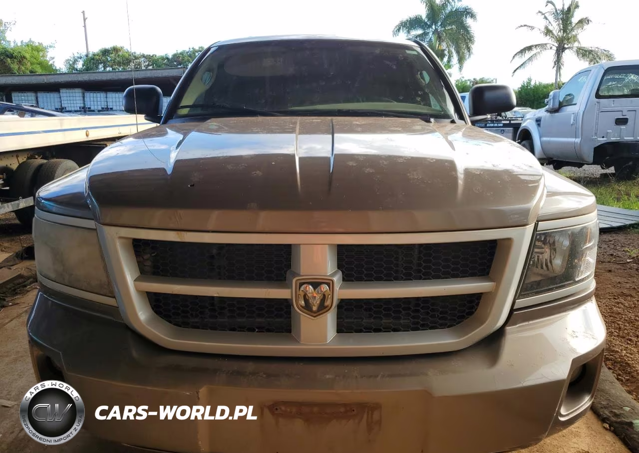 2010 Dodge Dakota Sxt VIN:1D7CW3BP4AS131791 - 5