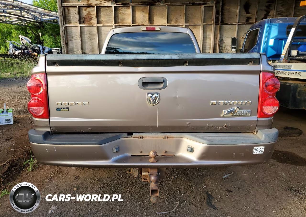 2010 Dodge Dakota Sxt VIN:1D7CW3BP4AS131791 - 6