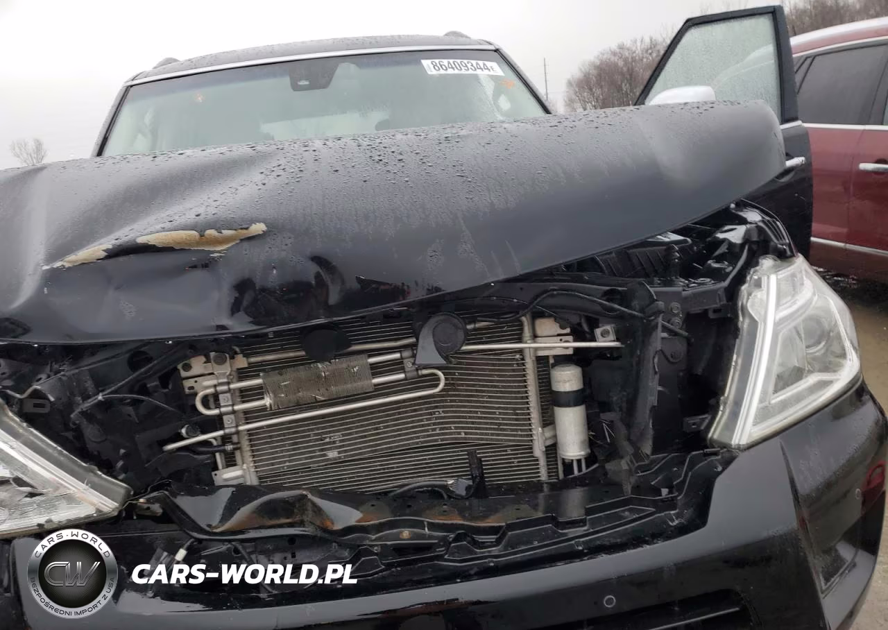 NISSAN ARMADA PLA VIN:JN8AY2NE1H9703406 - 11