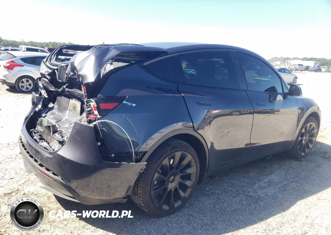 2024 Tesla Model Y VIN:7SAYGDEE9RA221511 - 3