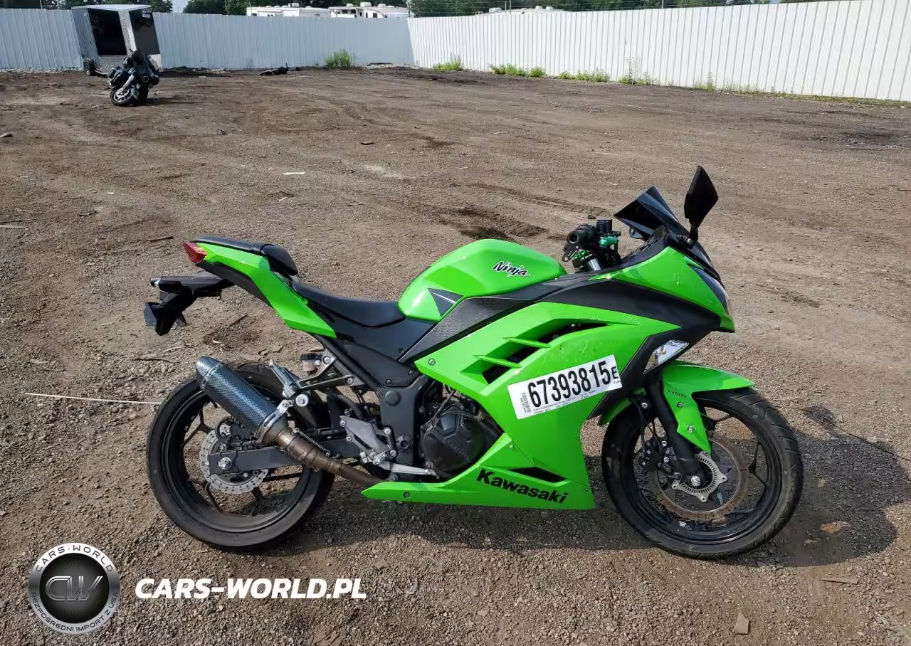 2014 Kawasaki Ex300 B