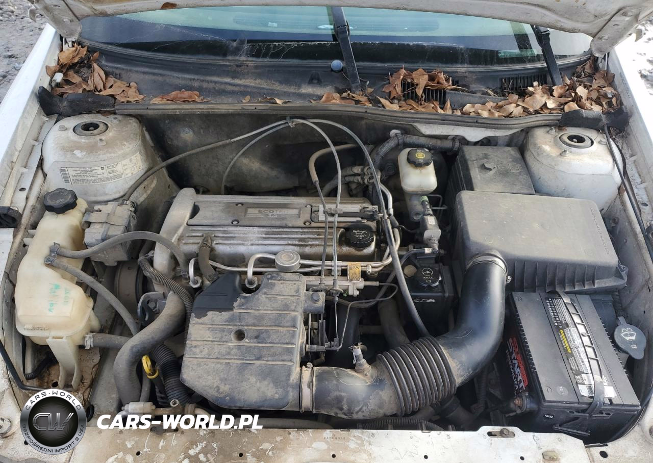 2005 Chevrolet Classic VIN:1G1ND52F75M162211 - 11