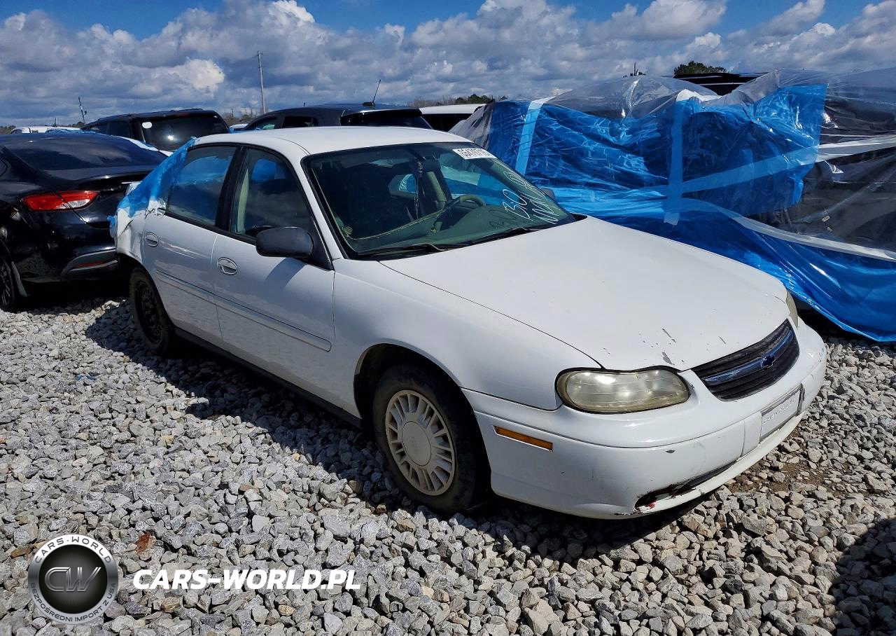 2005 Chevrolet Classic VIN:1G1ND52F75M162211 - 4