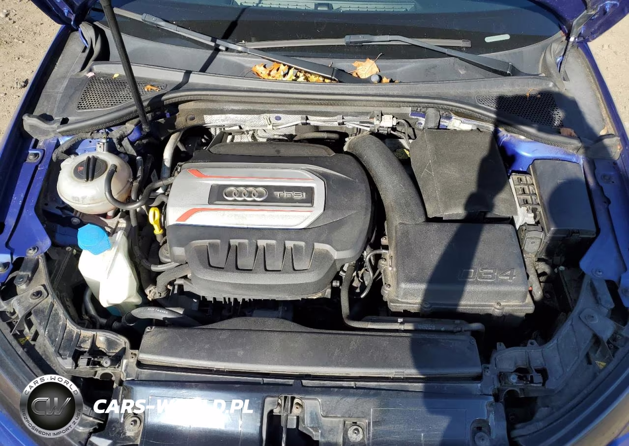 2016 Audi S3 Premium Plus VIN:WAUB1GFF2G1059921 - 11