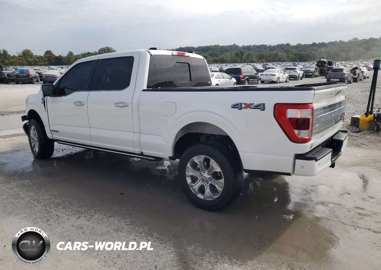 2023 Ford F150 Supercrew VIN:1FTFW1ED4PFB01737 - 2