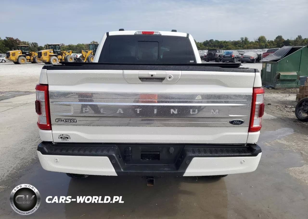 2023 Ford F150 Supercrew VIN:1FTFW1ED4PFB01737 - 6
