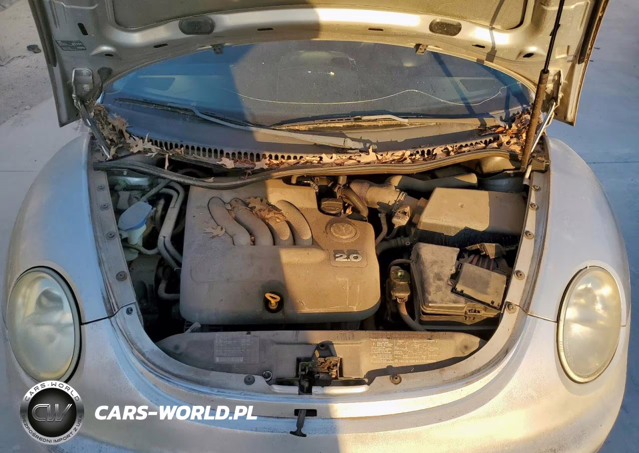 2001 Volkswagen New Beetle Gls VIN:3VWCB21C51M449505 - 11