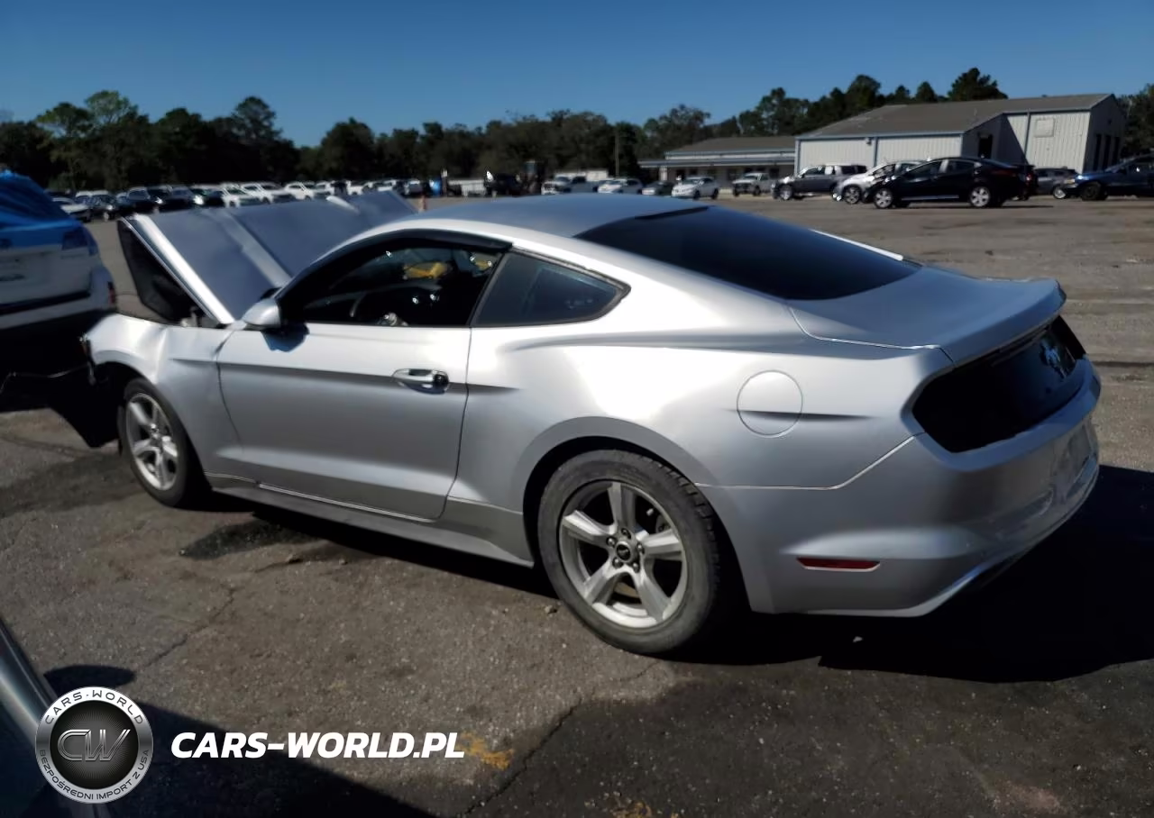 2017 Ford Mustang VIN:1FA6P8AM5H5312163 - 2