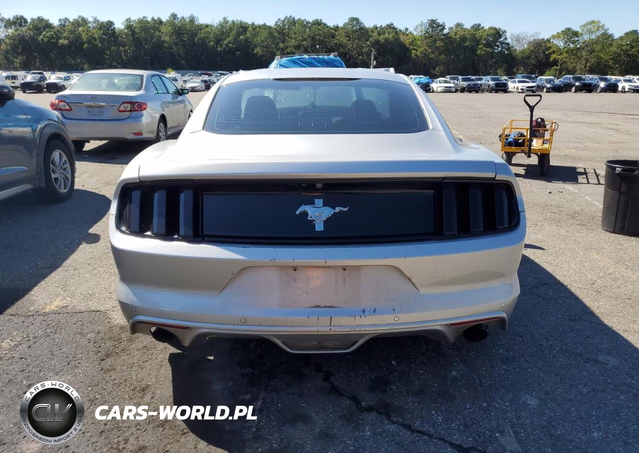 2017 Ford Mustang VIN:1FA6P8AM5H5312163 - 6