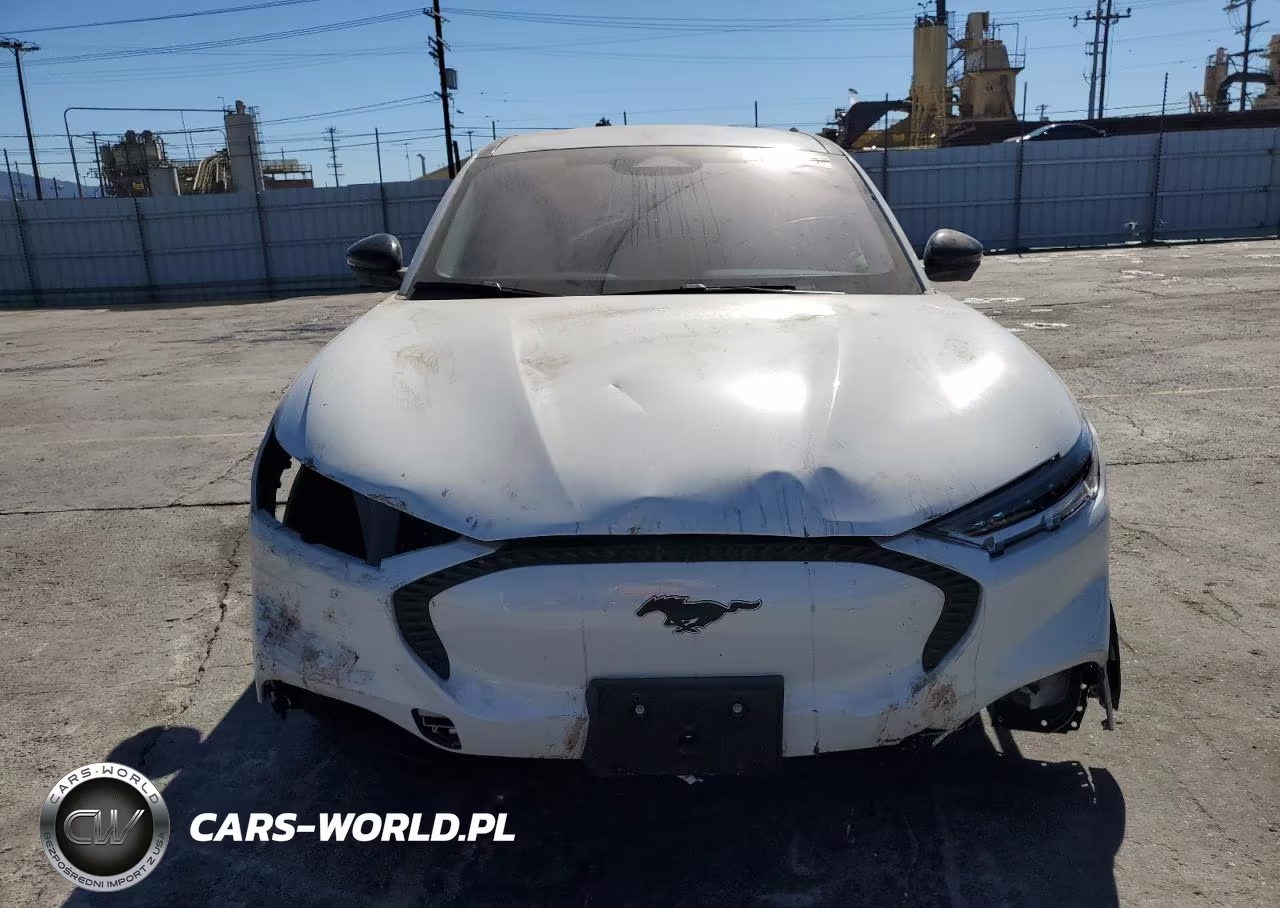 2023 Ford Mustang Mach-E VIN:3FMTK1RM9PMA40972 - 5