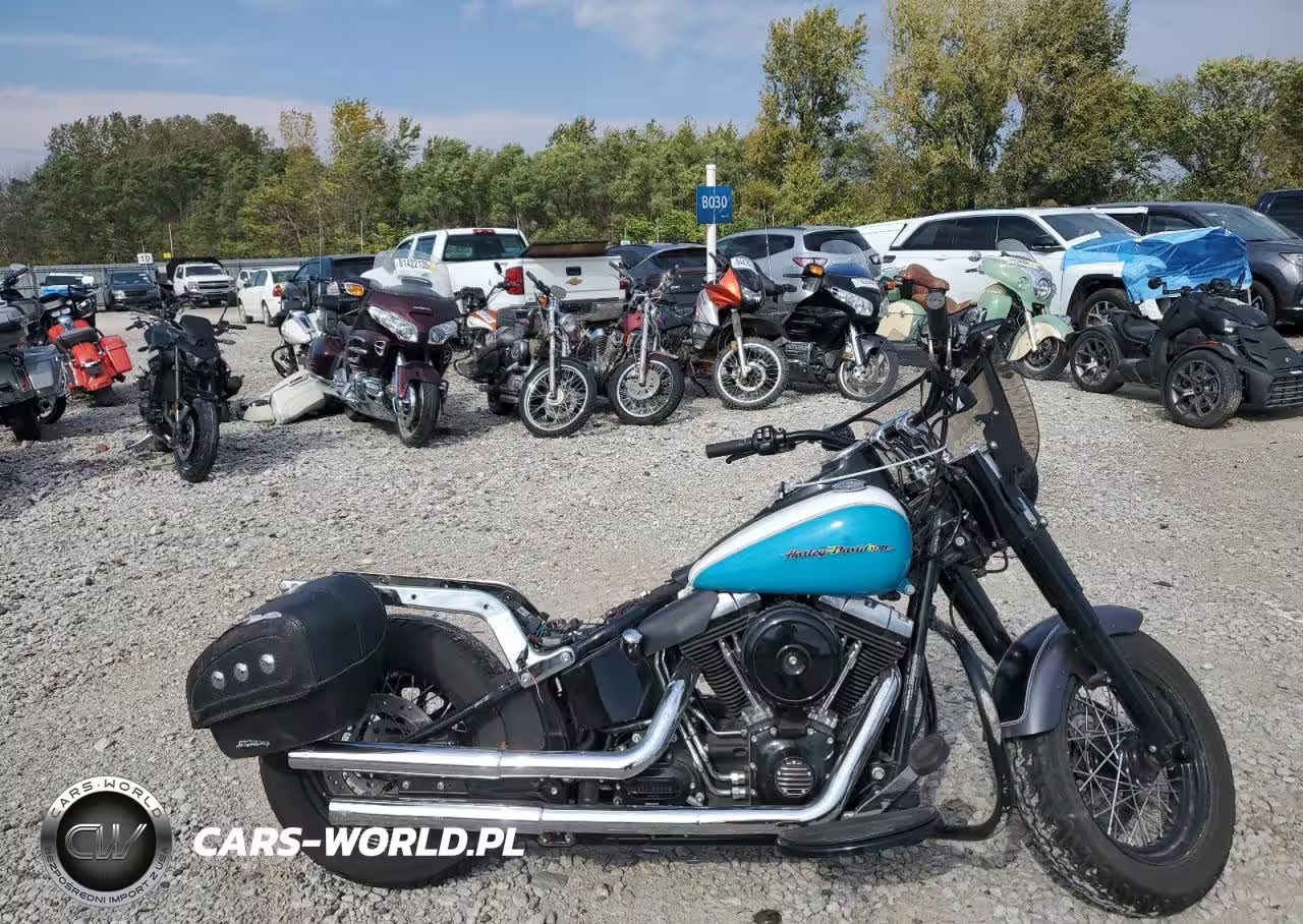 2015 Harley-Davidson Fls Softail Slim