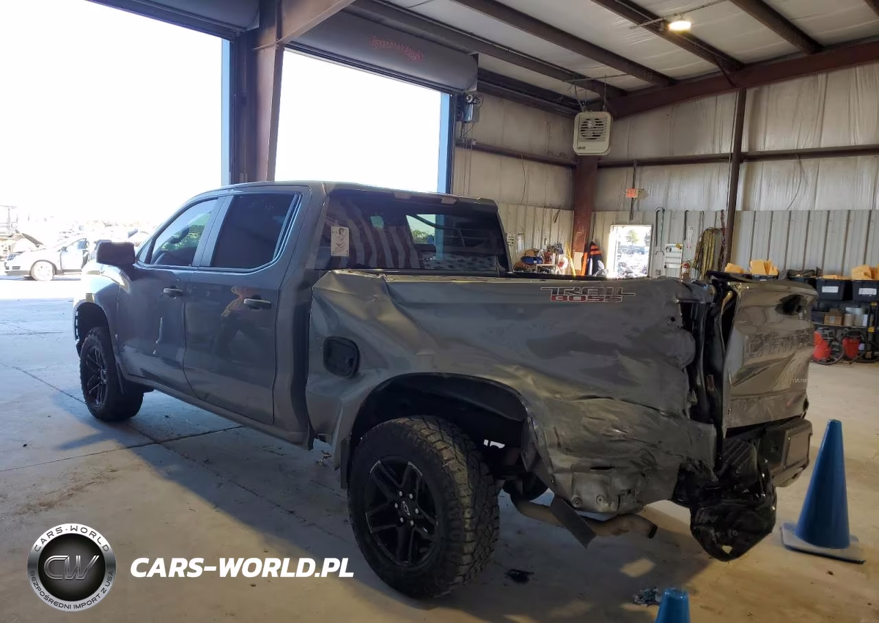 2020 Chevrolet Silverado K1500 Trail Boss Custom VIN:1GCPYCEF3LZ149475 - 2