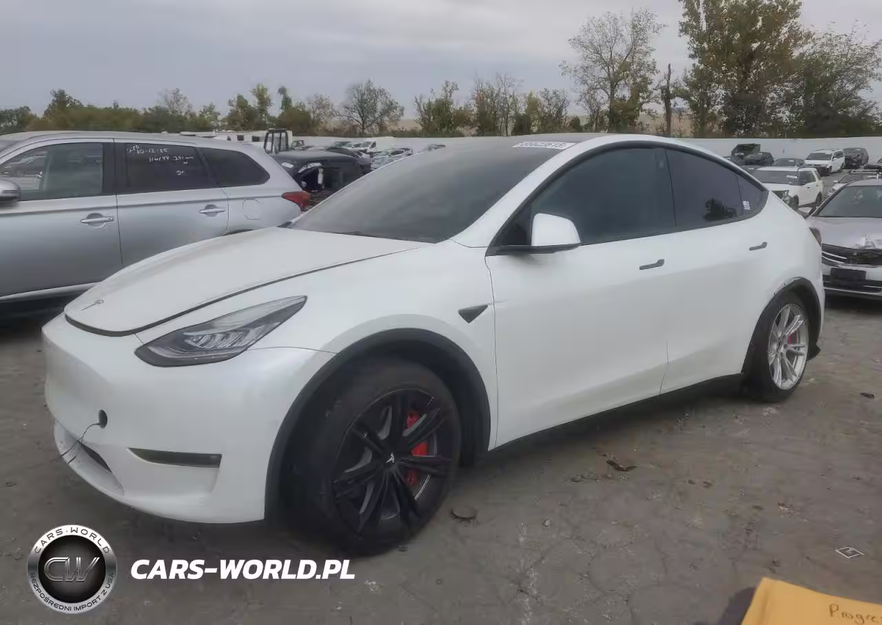2021 Tesla Model Y