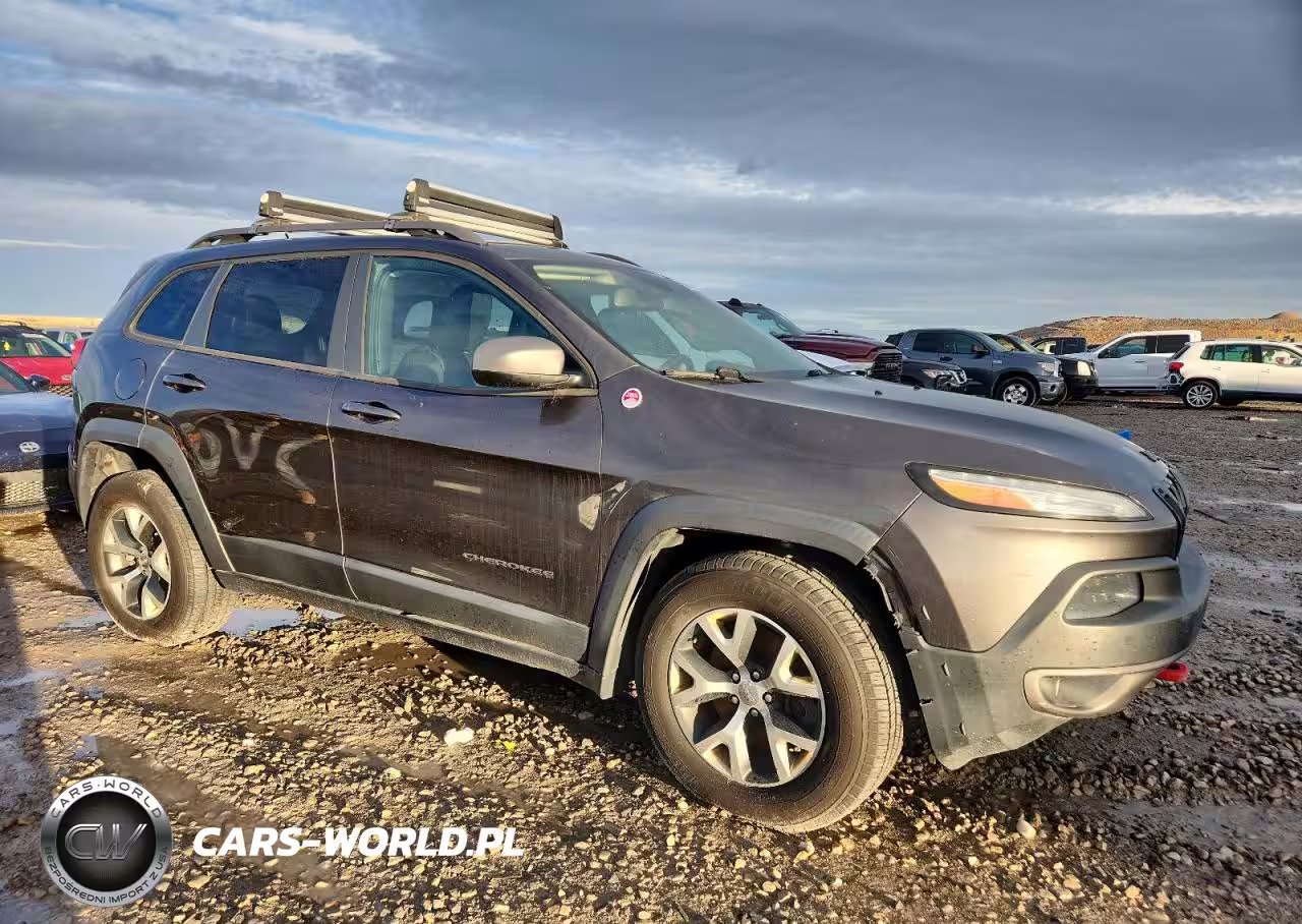 2014 Jeep Cherokee Trailhawk VIN:1C4PJMBS5EW201706 - 4