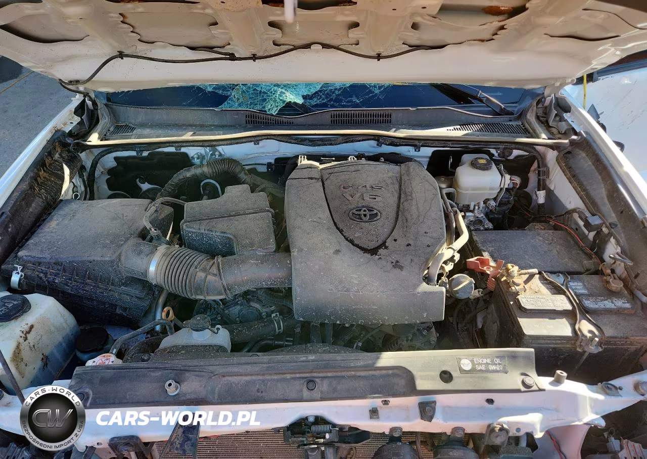 2019 Toyota Tacoma Double Cab VIN:3TMCZ5AN0KM275538 - 11