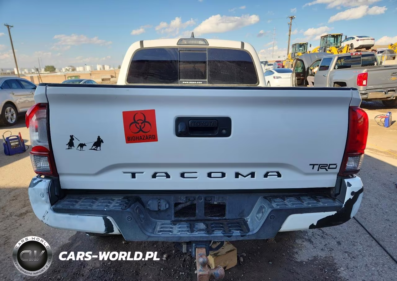 2019 Toyota Tacoma Double Cab VIN:3TMCZ5AN0KM275538 - 6