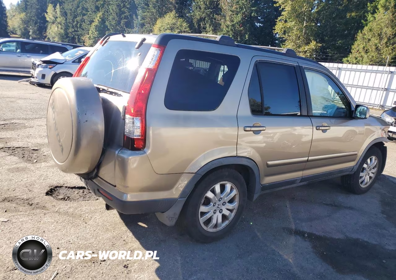 2005 Honda Cr-V Se VIN:JHLRD78915C018975 - 3