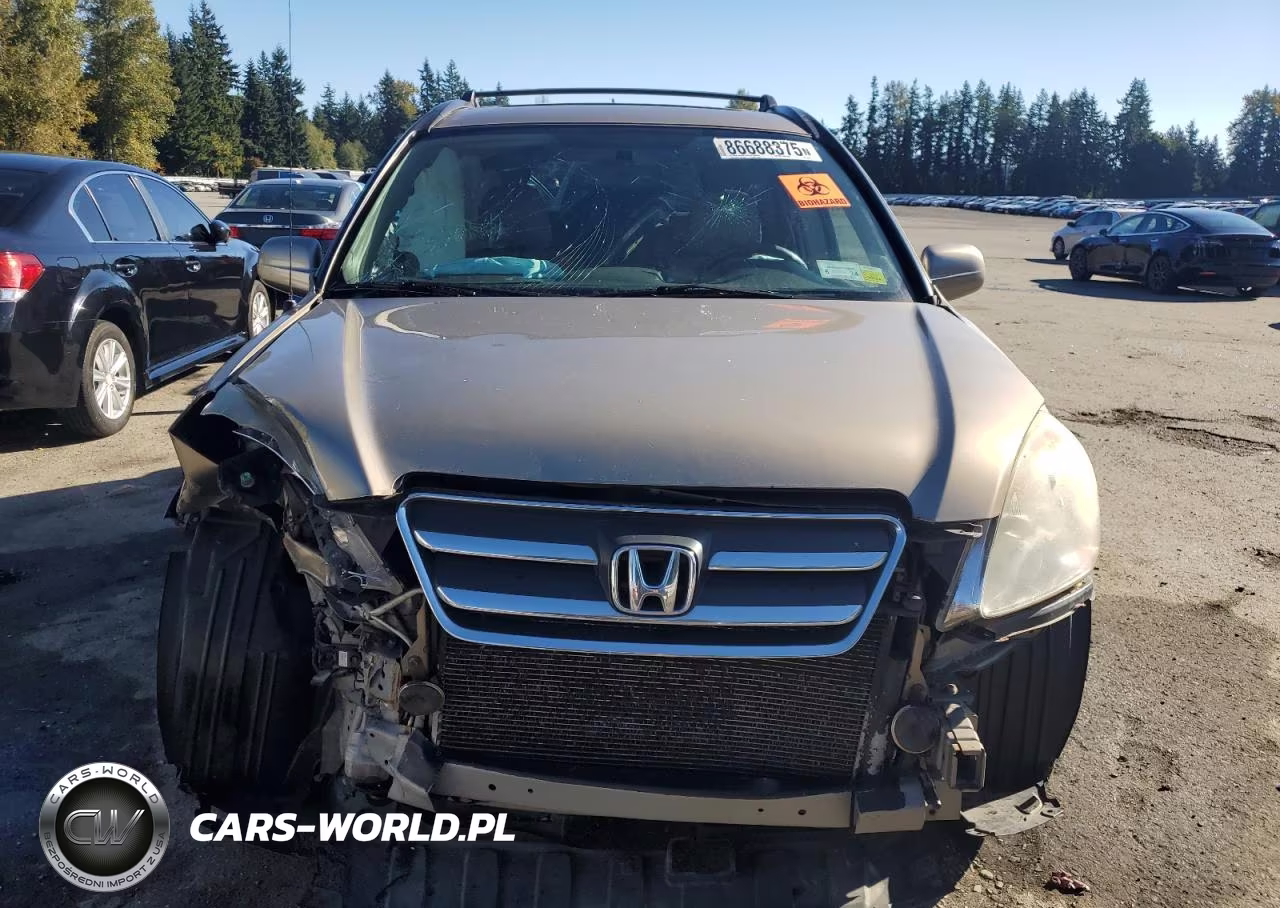 2005 Honda Cr-V Se VIN:JHLRD78915C018975 - 5