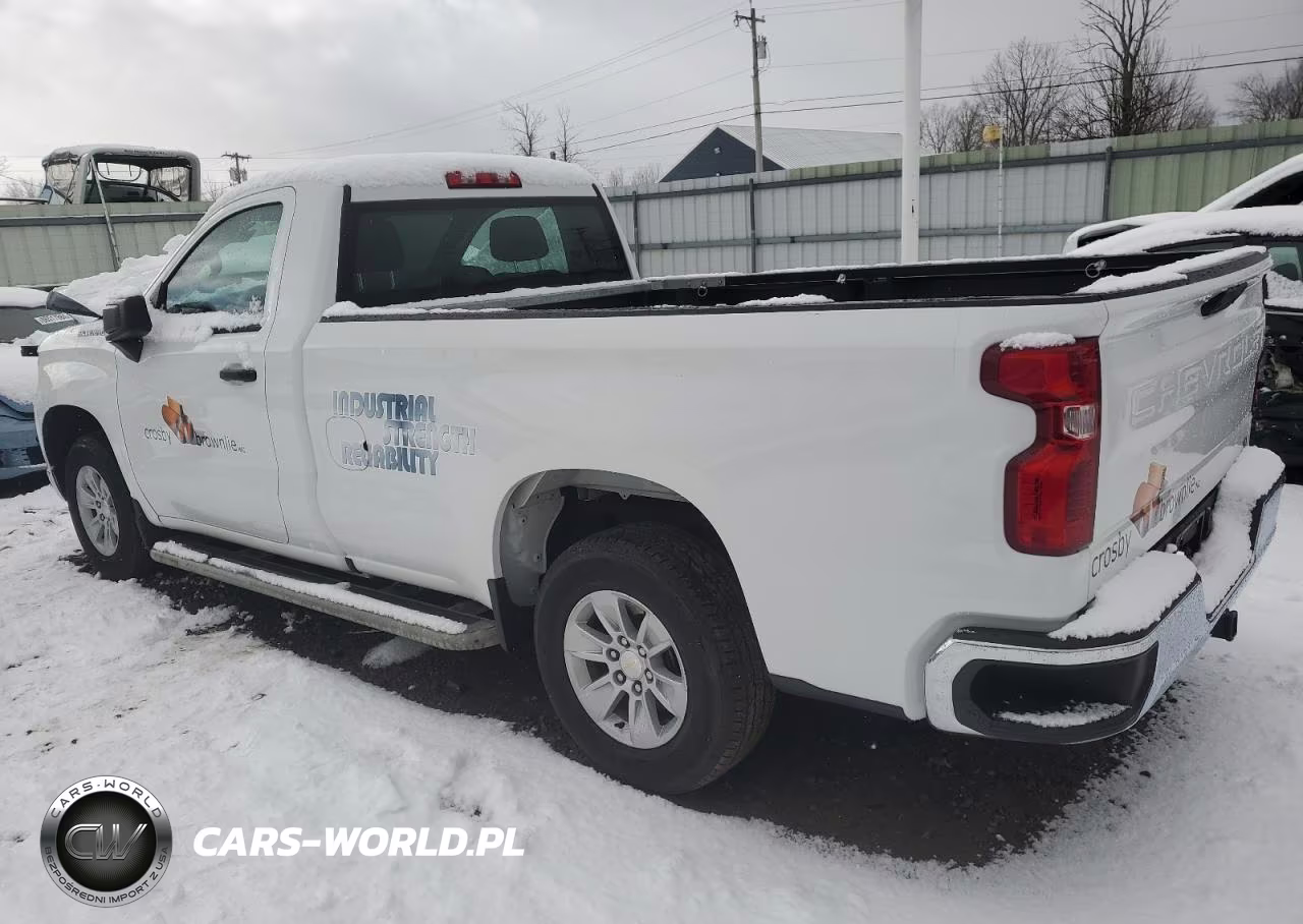 2023 Chevrolet Silverado C1500 VIN:3GCNAAED8PG346369 - 2