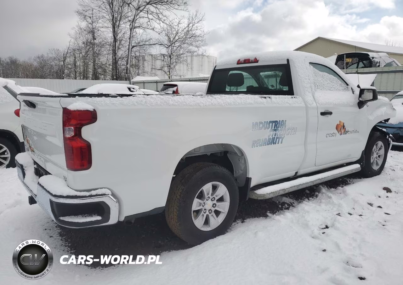 2023 Chevrolet Silverado C1500 VIN:3GCNAAED8PG346369 - 3