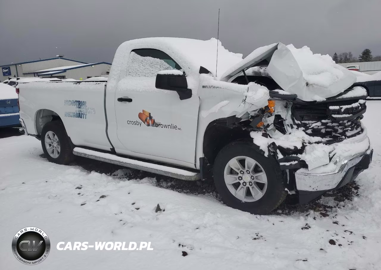 2023 Chevrolet Silverado C1500 VIN:3GCNAAED8PG346369 - 4