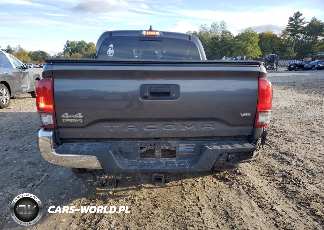 2020 Toyota Tacoma Sr5 V6 VIN:3TMCZ5AN4LM334592 - 6