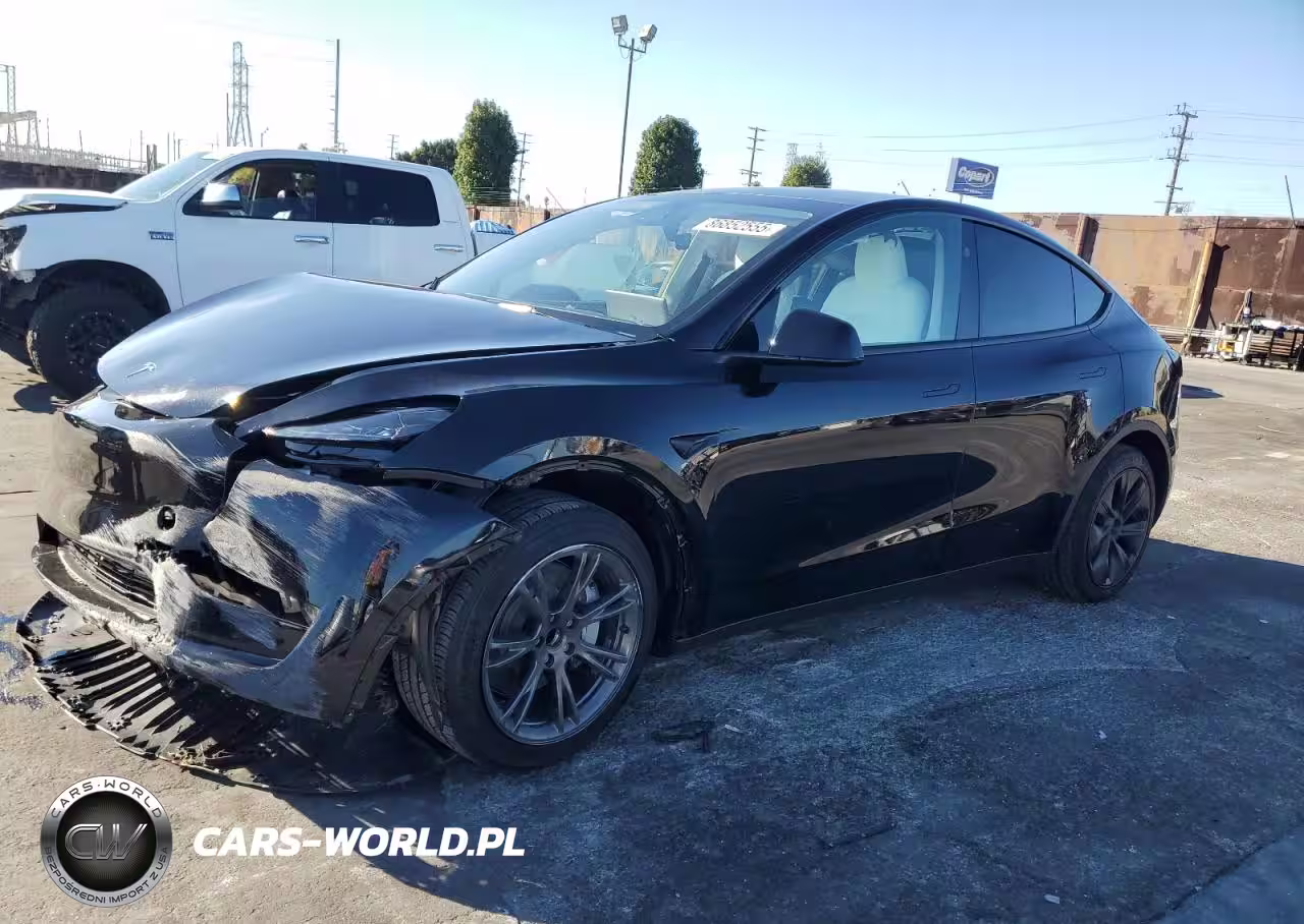 2024 Tesla Model Y