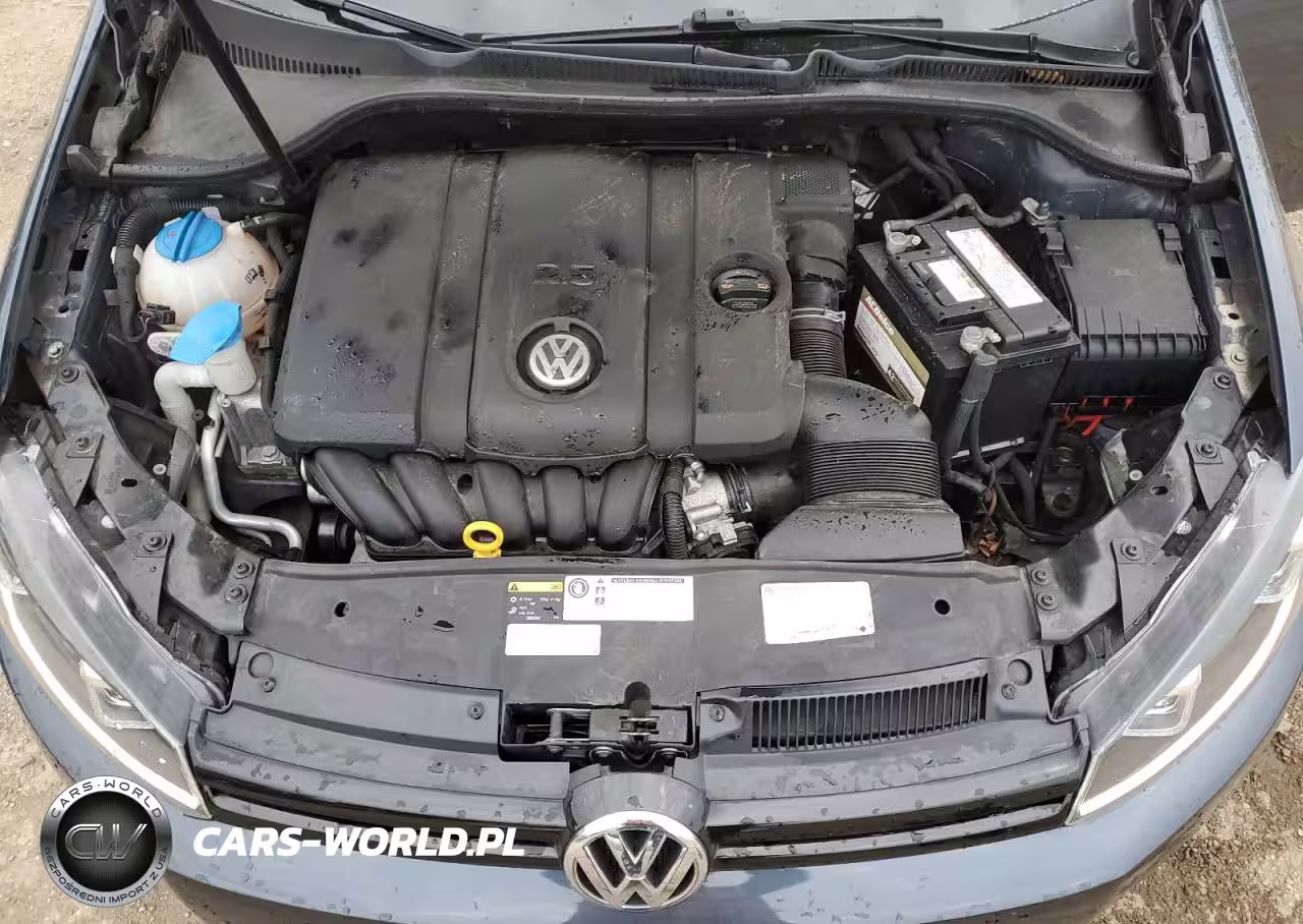 2014 Volkswagen Golf VIN:WVWDB7AJ0EW004596 - 11