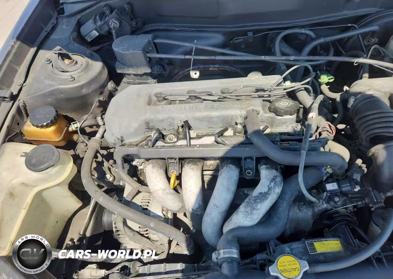 1999 Toyota Corolla Ve VIN:1NXBR12E4XZ298094 - 11