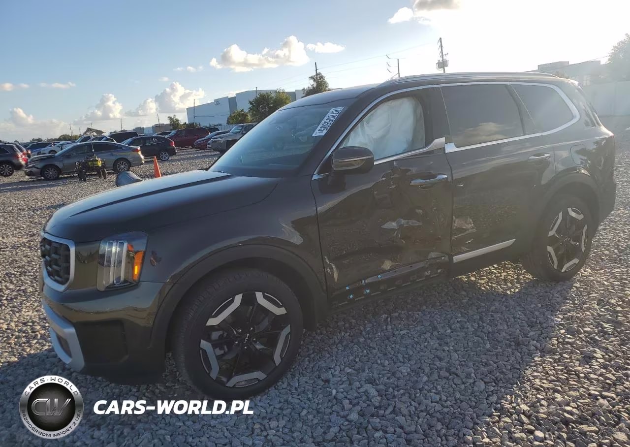 2025 Kia Telluride S VIN:5XYP64GC1SG646827 - 1