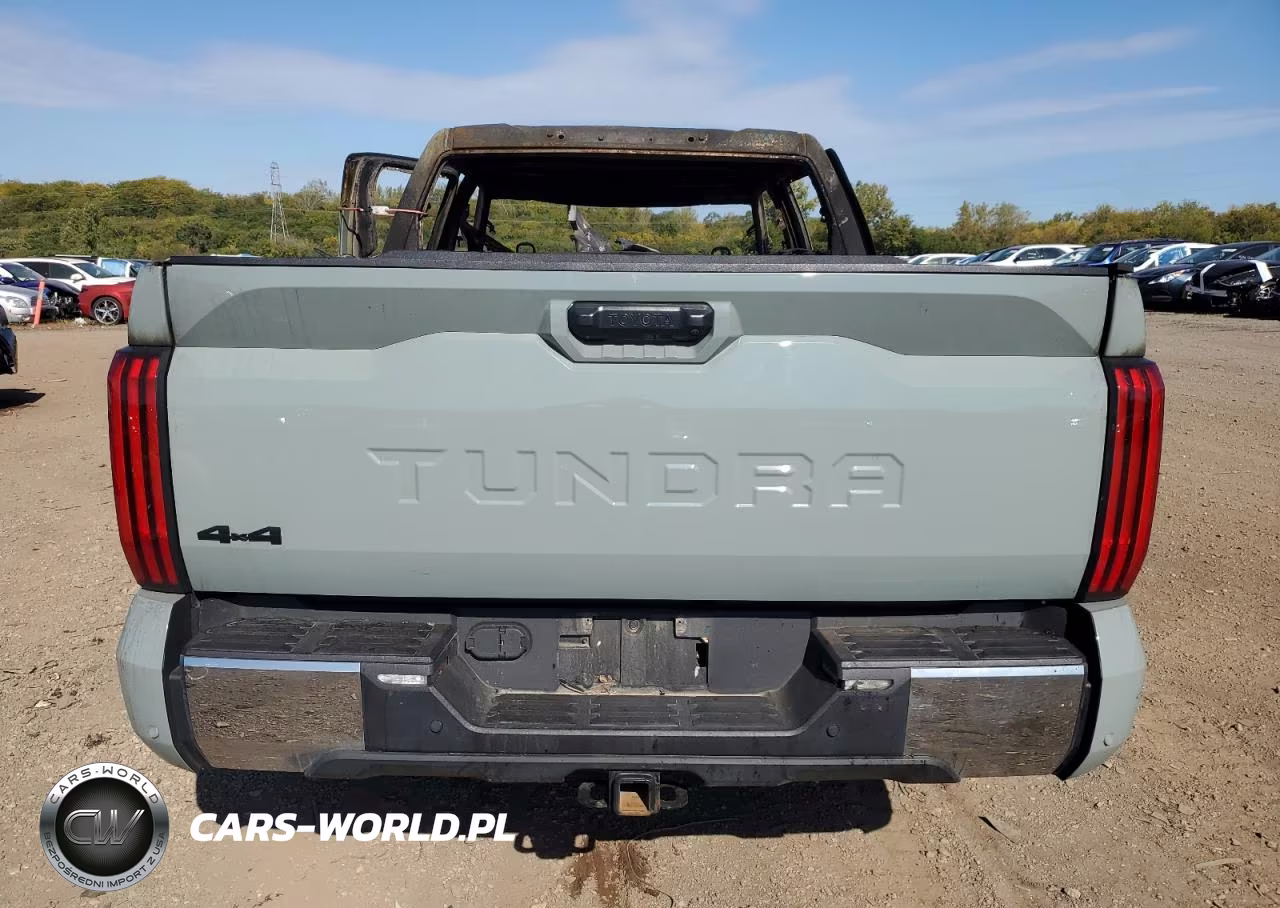 2022 Toyota Tundra Sr5 VIN:5TFLA5DB0NX030309 - 6
